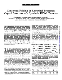 Crystal Structure of a Synthetic HIV-1 Protease