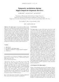 Epigenetic Modulation During Hippocampal Development (Review)