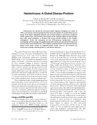 Hantaviruses: a Global Disease Problem