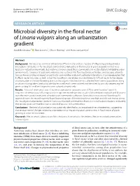 Microbial Diversity in the Floral Nectar of Linaria Vulgaris Along an Urbanization Gradient Jacek Bartlewicz1* , Bart Lievens2, Olivier Honnay1 and Hans Jacquemyn1