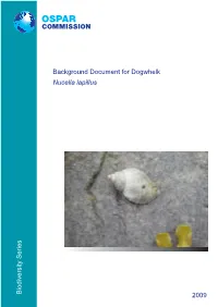 Biodiversity Series Background Document for Dogwhelk Nucella