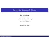 Computing in the ACI Cluster