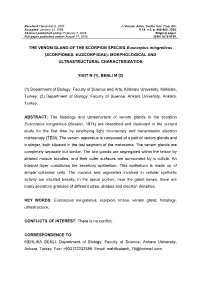 Scorpiones: Euscorpiidae): Morphological and Ultrastructural Characterization