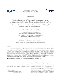 Species Identification of Forensically Important Fly Larvae by Integrating Morphological Characteristics and Protein Profiles