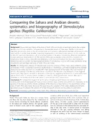 Systematics and Biogeography of Stenodactylus Geckos