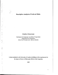 Descriptive Analysis of Verbs in Maito