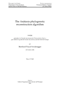 The Anâtaxis Phylogenetic Reconstruction Algorithm