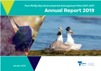 2019 Annual Report