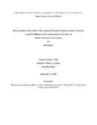 Anthony Stephen Dimeglio Thesis Submitted to The
