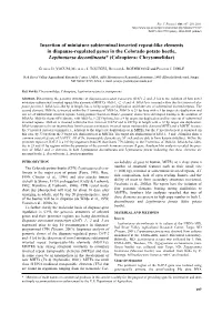 Insertion of Miniature Subterminal Inverted Repeat-Like Elements In