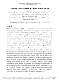 A Review of Developments in Carbon Dioxide Storage