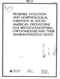 (Coleóptera: Chrysomelidae) and Their Amaranthaceous Hosts