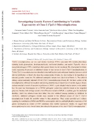 Investigating Genetic Factors Contributing to Variable Expressivity of Class I 17P13.3 Microduplication