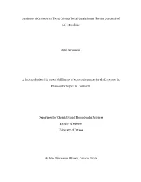 Morphine Julie Brousseau a Thesis Submitted