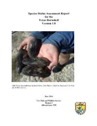 Species Status Assessment Report for the Texas Hornshell Version 1.0