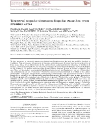 (Crustacea: Isopoda: Oniscidea) from Brazilian Caves