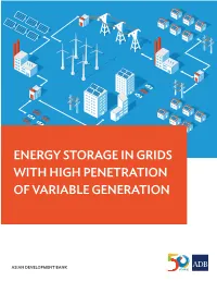 Energy Storage in Grids with High Penetration of Variable Generation