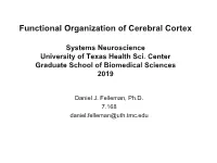 Functional Organization of Cerebral Cortex