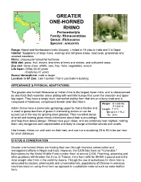 Greater One-Horned Rhinoceros Or Indian Rhino