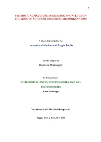 Increasing Knowledge on the Mode of Action of Beneficial Microorganisms
