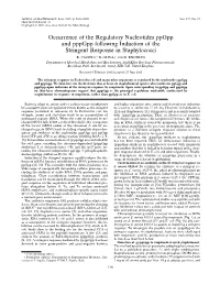 Occurrence of the Regulatory Nucleotides Ppgpp and Pppgpp Following Induction of the Stringent Response in Staphylococci