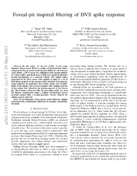 Foveal-Pit Inspired Filtering of DVS Spike Response