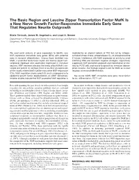 The Basic Region and Leucine Zipper Transcription Factor Mafk Is a New Nerve Growth Factor-Responsive Immediate Early Gene That Regulates Neurite Outgrowth