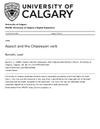 Aspect and the Chipewyan Verb