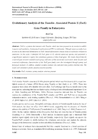 Comprehensive Analysis of Translin-Associated Protein X (Trnax