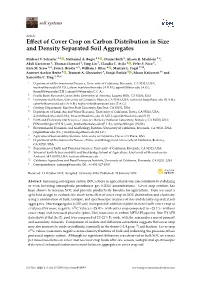 Effect of Cover Crop on Carbon Distribution in Size and Density