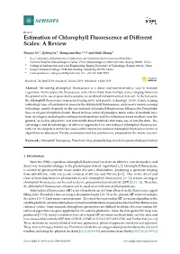 Estimation of Chlorophyll Fluorescence at Different Scales