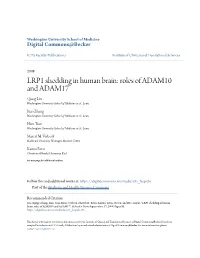 LRP1 Shedding in Human Brain: Roles of ADAM10 and ADAM17 Qiang Liu Washington University School of Medicine in St
