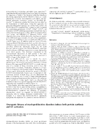 Oncogenic Kinases of Myeloproliferative Disorders Induce Both Protein Synthesis and G1 Activators