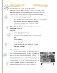 Snowflake Shapes Activity