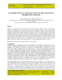 Contributions to the Solution of Phylogenetic Problem in Fabales