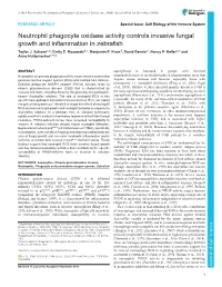 Neutrophil Phagocyte Oxidase Activity Controls Invasive Fungal Growth and Inflammation in Zebrafish Taylor J