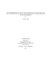 The Neighborhood As a Social Structure for Collective Action