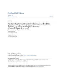 An Investigation of the Reproductive Mode of the Pinfish, Lagodon Rhomboides Linnaeus (Osteichthyes: Sparidae) Richard P