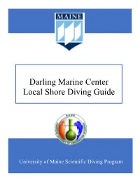 Darling Marine Center Local Shore Diving Guide