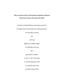 Effects of Neuronal Nitric Oxide Synthase Signaling on Myocyte