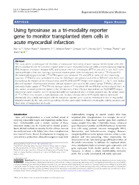 Using Tyrosinase As a Tri-Modality Reporter Gene to Monitor