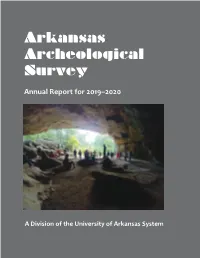Annual Report for 2020
