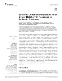 Bacterial Community Dynamics in an Oyster Hatchery in Response to Probiotic Treatment