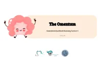 Lecture (5) the Omentum.Pdf