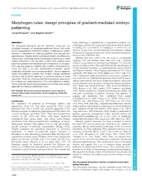 Morphogen Rules: Design Principles of Gradient-Mediated Embryo Patterning James Briscoe1,* and Stephen Small2,*
