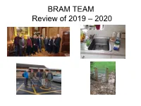 BRAM Team Review 2020