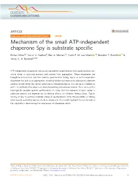 Mechanism of the Small ATP-Independent Chaperone Spy Is Substrate Speciﬁc