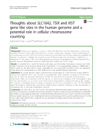 Thoughts About SLC16A2, TSIX and XIST Gene Like Sites in the Human Genome and a Potential Role in Cellular Chromosome Counting Martina Rinčić1, Ivan Y