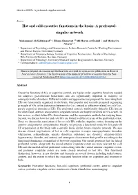 A Prefrontal-Cingular Network