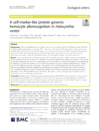 A Self-Marker-Like Protein Governs Hemocyte Allorecognition In